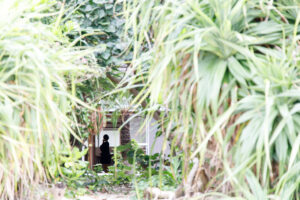 海亀ビーチの宿