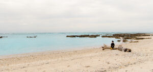 海亀ビーチの宿
