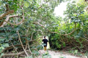 海亀ビーチの宿