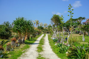 海亀ビーチの宿
